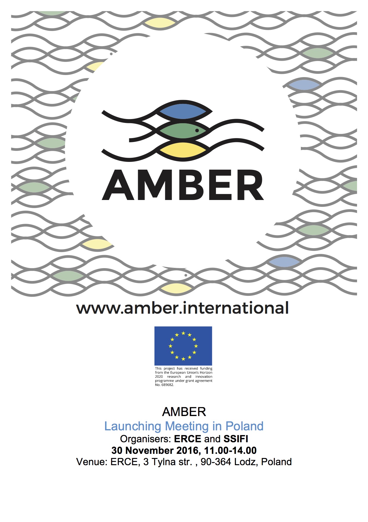 AMBER_Launching Meeting in Poland_on web