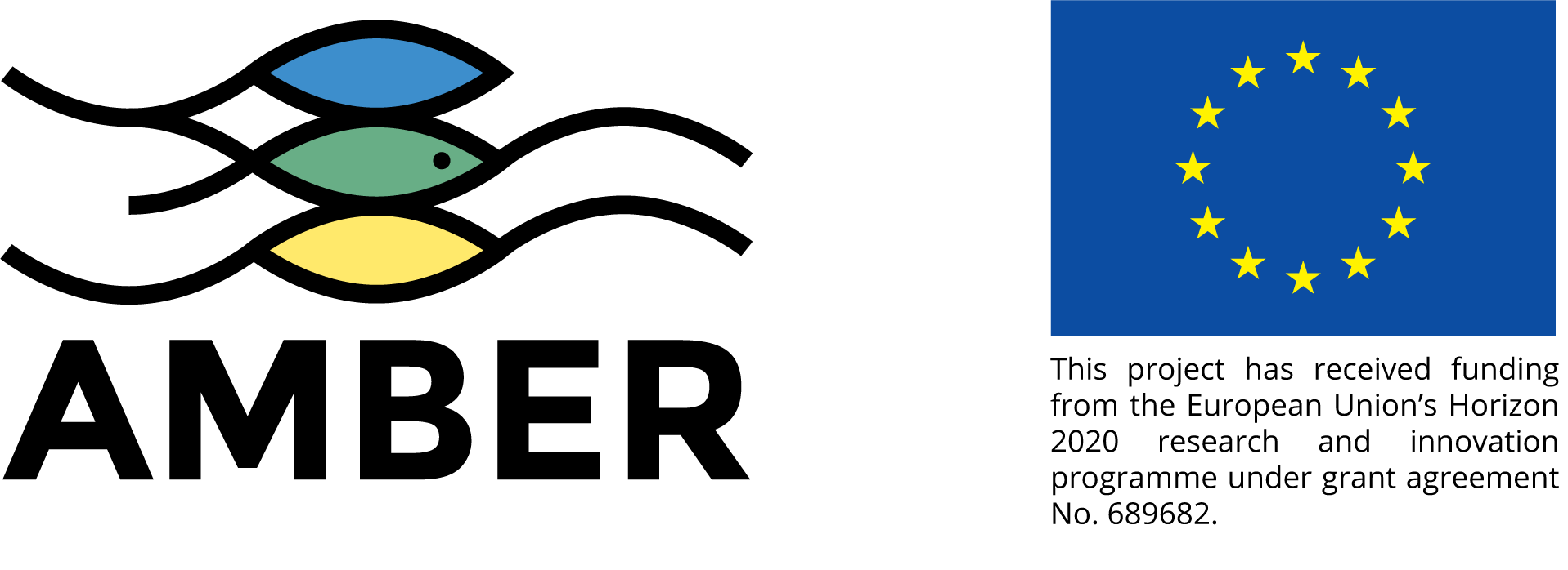 Logo-AMBER-EU