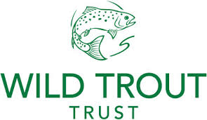 wild trout trust
